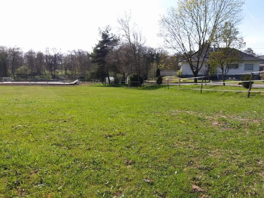 Repos Rouge-Plaisir Au Milieu Des Chevaux Appartamento Kembs Esterno foto