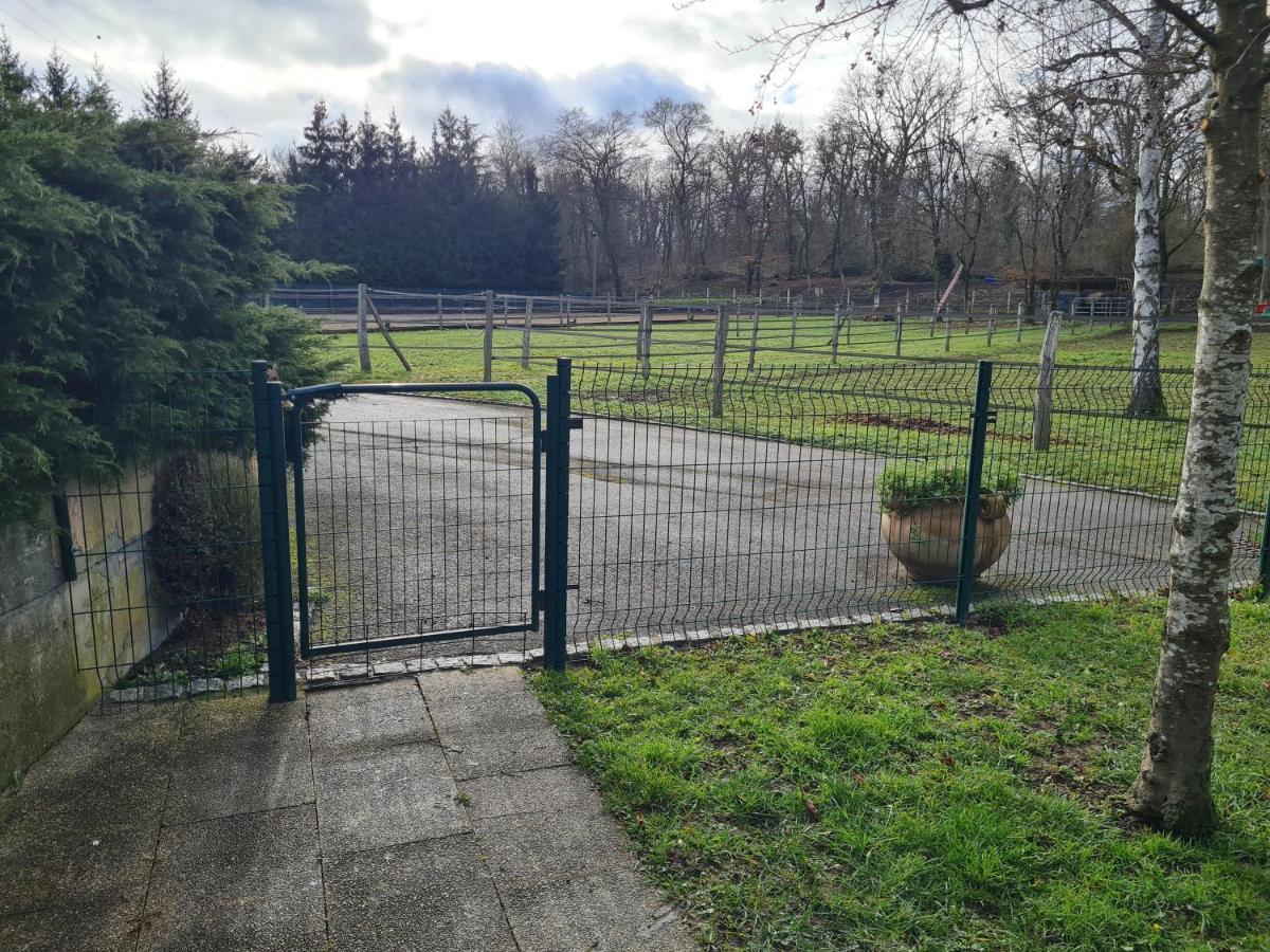 Repos Rouge-Plaisir Au Milieu Des Chevaux Appartamento Kembs Esterno foto