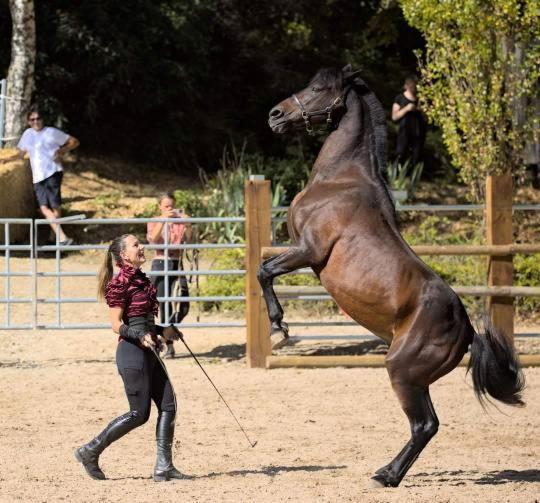 Repos Rouge-Plaisir Au Milieu Des Chevaux Appartamento Kembs Esterno foto